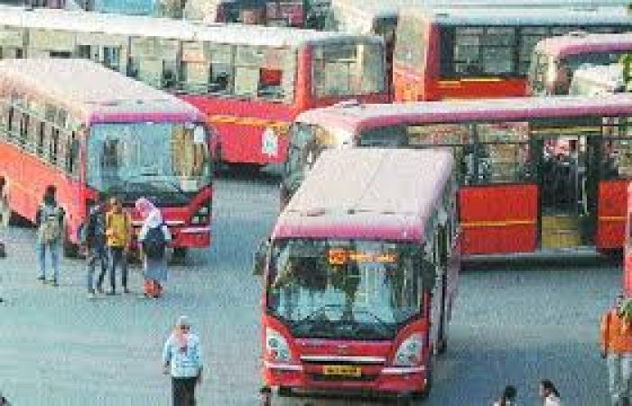 Nagpur's Holi Update: Changes in Bus and Metro Services!